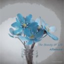 Afternova - The Beauty Of Life