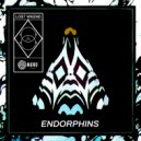 LOST WKEND - Endorphins (Original Mix)