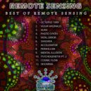 Remote Sensing - Vulva Vaginalis (Original Mix)