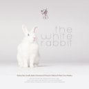 Francia Jazzline Orchestra & Estelle Rubio - The White Rabbit (feat. Estelle Rubio) ()