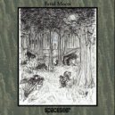 spaceseer - Feral Moon