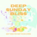 Lounge Groove Avenue - Shine (Original Mix)