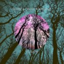 Soire, Omar Mahasne - Flavor