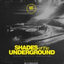 Le Smoove & Troy Brown - Deep Feelings