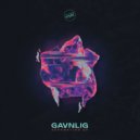 Gavnlig - Frequencies (Delay Grounds \'Hoon It\' Remix)