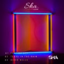 SHA - Tears In The Rain (Original Mix)