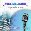 Fausto Fulgoni - Sette sorelle