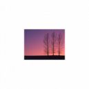 Mindfulness Healing Sleep BGM Project - Alarm and Self talk (Sleep BGM)