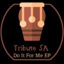 Tribute SA - Fred (Original Mix)