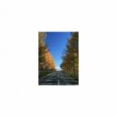 Mindfulness Healing Sleep BGM Project - Mystery and Stress Free