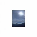 Mindfulness Healing Sleep BGM Project - Rose and Peace of mind