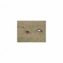 Mindfulness Healing Sleep BGM Project - Kiriko and Frustration (Sleep BGM)