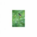 Mindfulness Healing Sleep BGM Project - Refraction and Concentration (Sleep BGM)