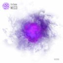 Arcanum - MECO