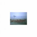 Mindfulness Healing Sleep BGM Project - Planet & Nervousness