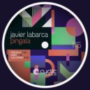 Javier Labarca - Pingala (Original Mix)