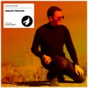 Falcos Deejay - Analog Process