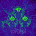 Peyote People Feat. Spiralix - Knorrbo