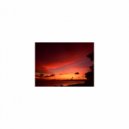 Mindfulness Healing Sleep BGM Project - Veto & Insomnia