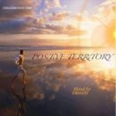 VA / Mixed by D&mON - POSiTiVE TERRiTORY / CHiLLGRESSiVE ()