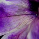 Cynthia Spiering - Endless Dreams (Original Mix)