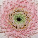 Cynthia Spiering & AREA ØNE - Here For You (Original Mix)