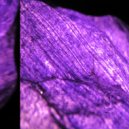 sinc-in-time - AYC999 (Original Mix)