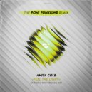 Anita Cole - Feel The Light (Poni PunkFlwr Extended Remix)