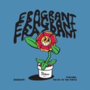 Toscana - The Fly Of The Turtle (Original Mix)