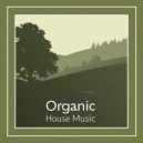 Shayava - Spirit Caravan ()