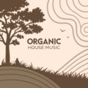 Zerafa Ritual - Ember Dance ()