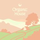 Totemline - Mist Shaman ()