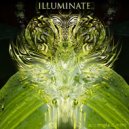 Entangled Mind - Illuminate