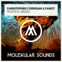 Christopher Corrigan & Fawzy - Peaceful Missile (Extended Mix)