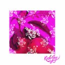 The Dream Merchant - Chiken Wiskers (v2)