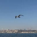 Phosphorboy & how me - Наше время (Original Mix)