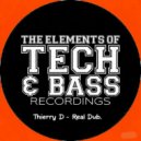 Thierry D & Thierry D - REAL DUB