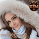 Djs Vibe - The Perffect Mix 2026 (Celal Ay)