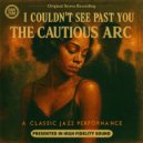 The Cautious Arc - I COULDN'T SEE PAST YOU