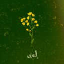 Smao - Dolar (Original Mix)