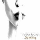 Visible Sound - Say nothing