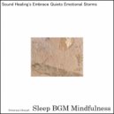 Sleep BGM Mindfulness - Embracing Dreams in the Calm of Sound Therapy (Original Mix)