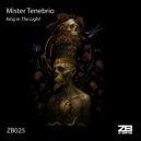 Mister Tenebrio - King In The Light (The Ragga Dub Mix)