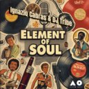 Ignazio Cabras, DJ Tribe - Elements Of Soul (DJ Tribe mix)