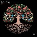 Destiny - Free Falling (Original Mix)