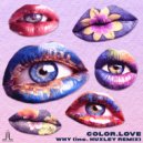 COLOR.LOVE - WHY (Huxley Remix)