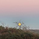 Killian Walsh - Harvest Moon (Extended Mix)