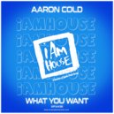 Aaron Cold - What You Want (Aaron Radio Edit)
