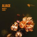 aliage - Magnetic (Original Mix)