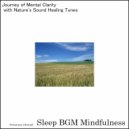 Sleep BGM Mindfulness - Dreamscape of Mental Health and Creative Expression (Original Mix)